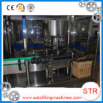 Cecle horizontal automatic packing machine in Kuwait