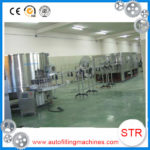 New type fully automatic blow molding machine with high speed in Palembang