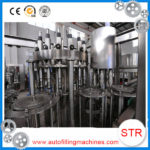 Canned food cider filling machine in Jordan
