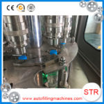 hawthorn sauce packaging machine in Quezon