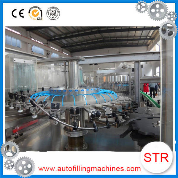 STRPACK Most Competitive Price Qualified Plastic Bottle Milk Filling And Sealing Machine in Guyana