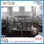 Hot selling figs packaging machine in Jordan