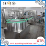 plastic bottle drinking water filling machine SJZ65 in Turkmenistan