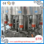 STRPACK Automatic Liquid Oil Cooking Edible Oil Filling Machine in Germany