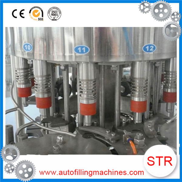 New Design Automatic Apple Juice Filling Machine For PET Bottle in Costa Rica
